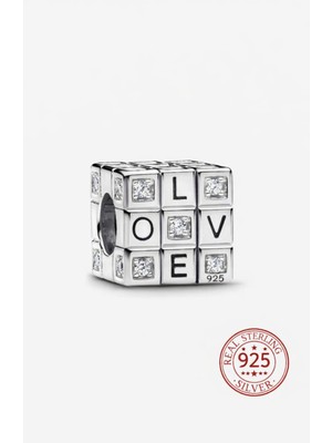 Lines Bijuteri S925 Hareketli Zeka Küpü Charm