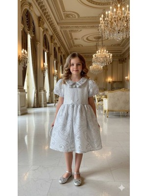  kız Çocuk Eteği Kabarık Doğum Günü Bayramlık Abiye  Gümüş Renk Elbise