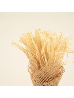 Storemax Amaya Jütte Kuru Çiçek Natural