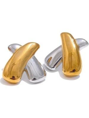 Alice İsstanbul Çelik Mix x Küpe