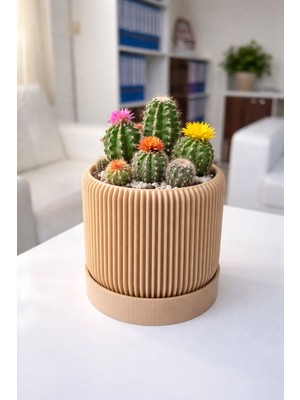 GursoLab Dekoratif Duvar Saksısı | Modern Tasarım | Minimal Çiçeklik & Sukulent Saksısı