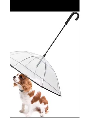 Zigver Küçük Evcil Hayvanlar Için Tasmalı Köpek Şemsiyesi, Köpekler Için Şemsiye 20” Arka Uzunluğunda Evcil Hayvanlara Uygun, J-Şekilli Sap, Şeffaf Şemsiye Yüzeyi