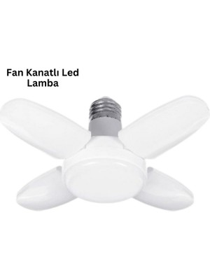 Zero Land Drnds VM60 LED Ampül