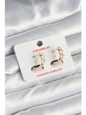 Clariss Ashwork Pirinç Gold Renk Kalpli Zirkon Taşlı Kadın Küpe 587455