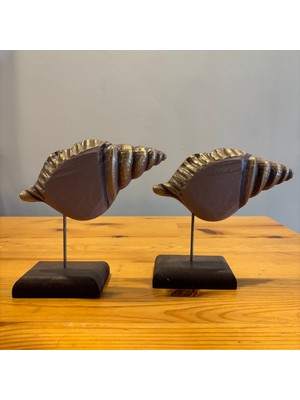 Atölye Sonart Deniz Kabuğu Ayaklı Obje