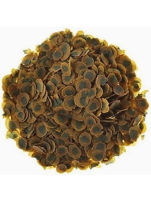 Braventa Collection Pro Algae 500GR - Kovadan Bölme