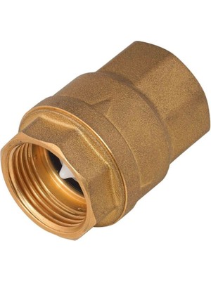 Karpa Çek Valf, Dik Yaylı, 1"