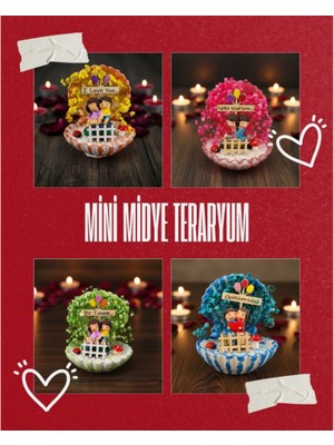 Fırsatkolik Mini Midye Teraryum - Özel Gün Hediyesi