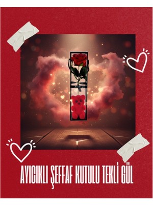 Fırsatkolik Ayıcıklı Şeffaf Kutulu Tekli Gül