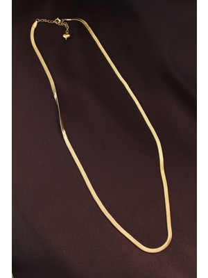 316L Çelik Altın Renk 60 cm Italyan Zincir Kolye - Lisinya