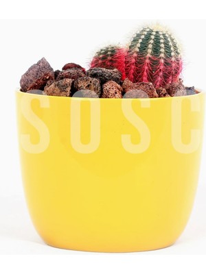 Braventa Collection Kırmızı Pomza Taşı 2-3 cm Volkanik Cürüf Ponza Kırığı 3 Lt