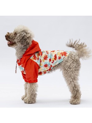 Braventa Collection Pawstar Ottawa Polarlı Su Geçirmez Küçük Irk Köpek Yağmurluğu (L)