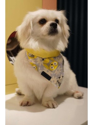 Braventa Collection Patiset Baykuş Desenli Sarı Köpek Fuları Bandanası Köpek Kıyafeti Sarı Xs