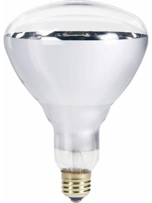 Braventa Collection Ledvance 250W Infrared Şeffaf Ampul E27