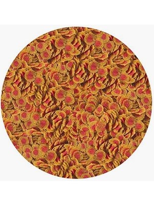 Braventa Collection Pro Colour 250GR - Kovadan Bölme