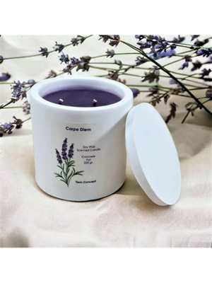 Braventa Collection Tiem Concept Dekoratif Lavanta Kokulu Beyaz Renkli Beton Saksılı ve Kapaklı Soya Mum