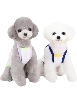 Braventa Collection Bruch Desenli Köpek Kıyafeti Mavi Xl