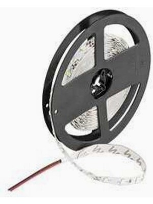 Braventa Collection Sanec 4040 Rgb Şerit LED Iç Mekan – 5 Metre