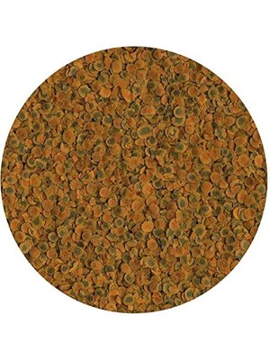 Braventa Collection Pro Energy 100GR - Kovadan Bölme