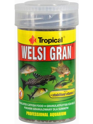 Braventa Collection Tropical Welsi Gran 100ML 65GR