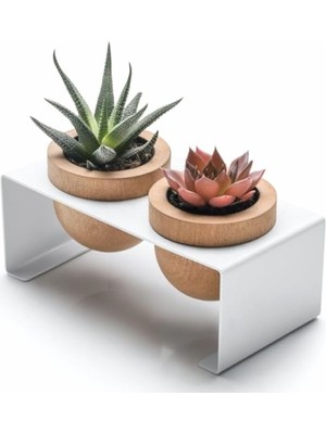 Braventa Collection Halohope Metal Stantlı 2'li Skulent Saksısı Beyaz Saksılık