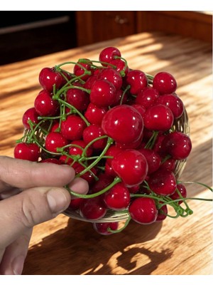 Ahfa Natural Craft Yapay Gerçekçi Kiraz 10 ÇIFT(20TANELI) Dekoratif Süs Yapay Kiraz