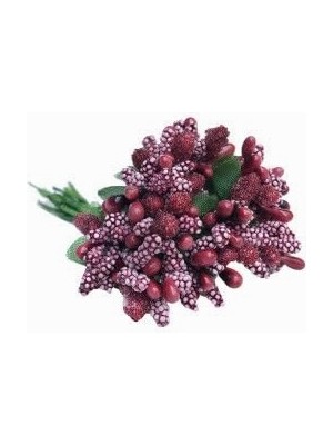 Braventa Collection Benim - Yapay Çiçek Bordo Çiçek Cipso 1 Demet