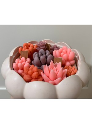 Violet Candle Decor Sukulent Aranjman Saksıda Kokulu Mum