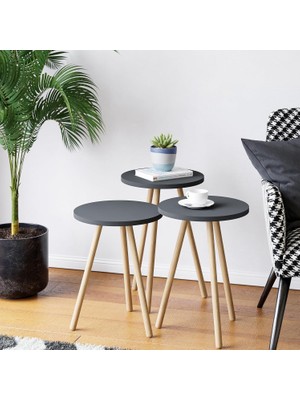 Braventa Collection Intergo-Üçlü Zigon Sehpa Ahşap Ayaklı Yuvarlak Tasarım (Antrasit Gri)