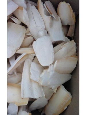 Braventa Collection Small Boy Kalamar Kemiği, 100 Gram