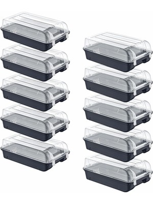 Braventa Collection 10'lu Set 5 Kadın & 5 Erkek Antrasit Ayakkabı