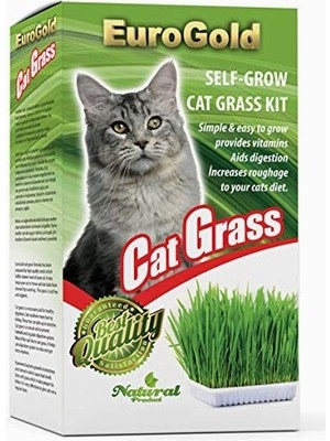 Braventa Collection Eurogold 4514001 Kedi Çimi, Sindirime Yardımcı, Ekstra Vitamin