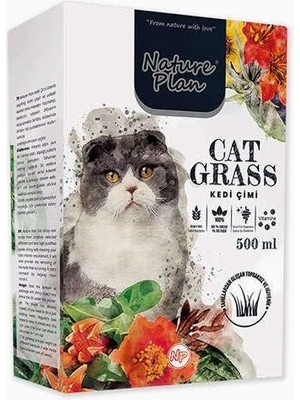 Braventa Collection Nature Plan Kedi Çimi 500 ml