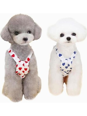 Braventa Collection Pileli Kalpli Köpek Kıyafeti Pembe S