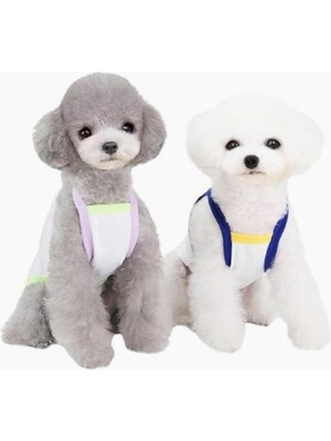 Braventa Collection Bruch Desenli Köpek Kıyafeti Mavi S