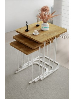 Teknor Oslo Gümüş Ayaklı Mdf 3 Lü Kare C Zigon Sehpa