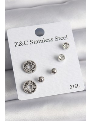 Nuveden Ieg™ 316L Çelik Gümüş Renk Zirkon Taşlı Labirent Model Kadın Küpe Seti NVDN-RSBJT34