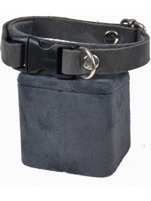 Hype Store X-Perk Köpek Boyun Tasması, Deri, Tokalı, Tasma Ayarlanabilir, 1 cm x 33 Cm, Tüm Çeşitler