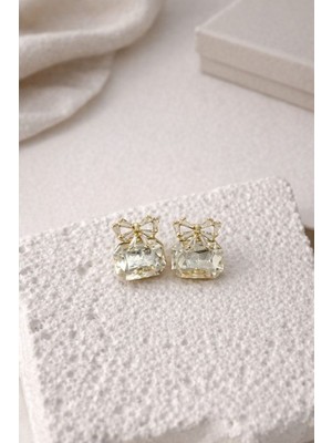 Nora Vıp 14K Fiyonk Detaylı Taşlı Küpe Gold