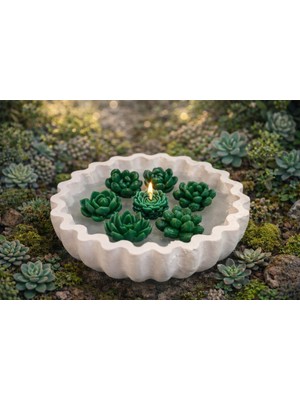 Rosealya Green Lotus-El Yapımı Sukulent Mum | Dekoratif Kase
