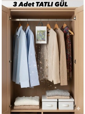 Mey İthalat Dolap ve Çekmece Kokusu –3 Adet Askılı Koku Poşeti, Çoklu Aroma Seçenekli, Uzun Ömürlü Koku