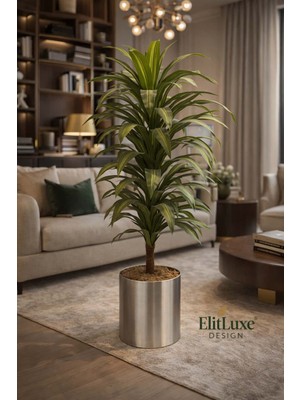 Elit Organizasyon & Tasarım Elitluxe Design 160 cm Yapay Dracaena Ağacı – Saksılı, Gerçekçi Dekoratif Bitki