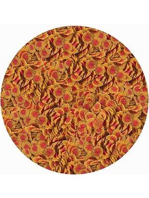 Hype Store Pro Colour 250GR - Kovadan Bölme