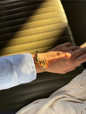 Houseki Figürlü Ayarlanabilir Kelepçe