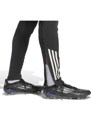 Adidas Predt Pntl Eşofman Altı