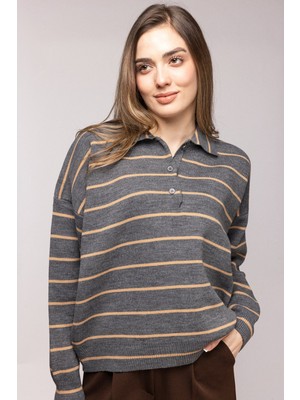 Saade Antrasit Çizgili Polo Yaka Düğmeli Triko Kazak Std