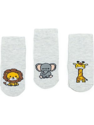 Hellobaby Hellobaby Erkek Bebek 3lü Soket Çorap