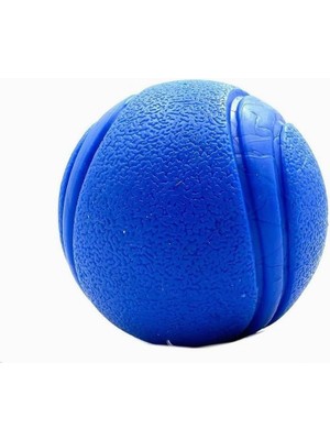 Hype Store Tasma Market Mavi Yumuşak Dokulu Köpek Oyun Topu Mavi