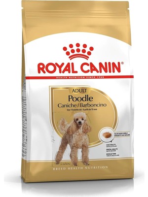 Hype Store Canin Poodle Yetişkin Köpek Maması, 3 kg
