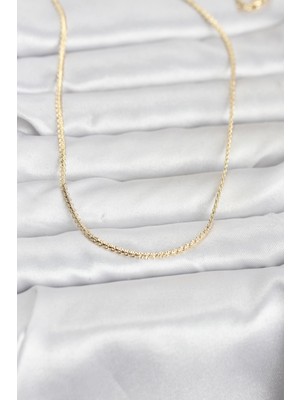 Clariss cm 14K Gold Renk Yassı Zincir Model 60 cm Kadın Kolye